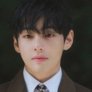 태형매점