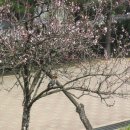 2호선 교대02
