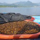 하동재첩국 이미지