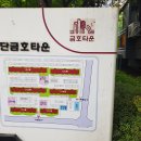 대촌동초등학교 | [임장후기] 광주광역시 첨단지구 일대