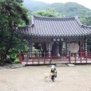 사나사(사찰 앞) 이미지