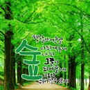 청정지대 이미지