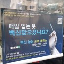 백신세탁소 이미지