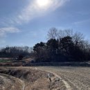 열녀 광산김씨 정려 이미지