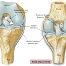 동행의원한의원 이미지