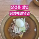 평양메밀냉면 | [장전동 냉면] 슴슴하고 시원한 평양메밀냉면 내돈내산 솔직후기