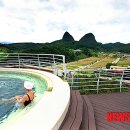 진안홍삼 이미지