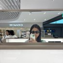 윤지슈퍼 | 2025. 6월 | 2박 4일 세부 여행