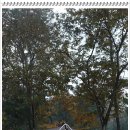 정감농장 이미지