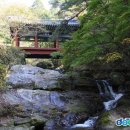 곡성 신기 이미지