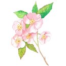 레프트뱅크 범어점 이미지