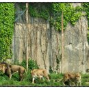 대공원충전소 이미지