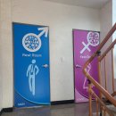 허브나무 이미지