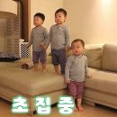 너네 삼둥이 누가 최애였어 이미지