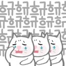 아델라인니트 이미지