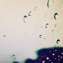 지마트낚시 이미지