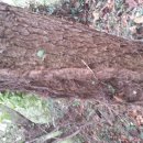 송담2로 이미지