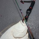 바다의 신 이미지