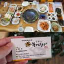 262번째 맛집탐방 [청주 복어요리 맛집] 김동주 복어 찬가 방문!&lt;내돈내산후기&gt;
