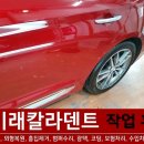 미래덴트칼라 이미지