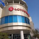 세일마트 | 롯데마트 메가 통큰세일 후기 장보기 추천템 총정리 솔직 리뷰