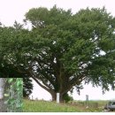 서도초등학교 볼음분교 이미지