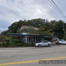 목도민물고기 이미지