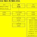 2025년 세종특별자치시 족구 협회 조직도 이미지