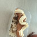 꿀젓 | 쿠팡 로켓프레쉬 추천! 밥도둑 입술 백명란젓 솔직후기