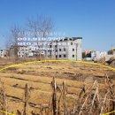 소로3-288 네이버블로그