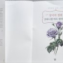 색연필로 쉽게 그리는 보타니컬아트 이미지