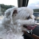 개어비앤비 이미지