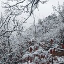 장곡초교 이미지