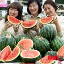 의령농협 하나로클럽 이미지