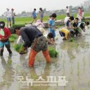 고은이네 가족농장 네이버블로그