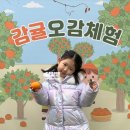 병길농장 | 제부도 체험농장 만들기 제부모세농장 프루떼 아이와 가볼만한곳 추천