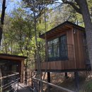 광교 푸른숲도서관 이미지