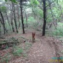 자전거로 그리는 우 이미지