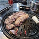 돈나맛있네 이미지