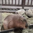 넓은 세상 인터넷 파크 | [경주 가볼만한곳]애들 데꼬 경주 어디 가노 고민 끝! '버드파크' 하나로 하루 종일 신나게 노는 법