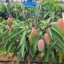 서홍농장 이미지