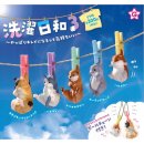 세탁하기좋은날 이미지