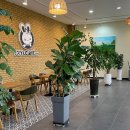 TOY&CAFE원앤원(토이앤카페원앤원) 이미지