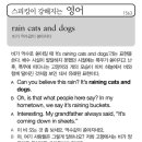 rain cats and dogs(비가 억수같이 쏟아지다) 이미지