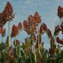 금현농장 이미지