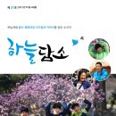하늘담소 제 31호(2017년 1월 ~ 6월) 이미지