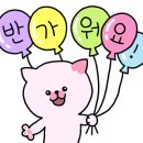김프로바이크 이미지