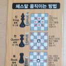 [백석]체스&보드게임지도사 이미지