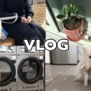 햇살좋은빨래방 이미지