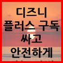 디즈니 플러스 구독 싸고 안전하게 하는 방법 이미지